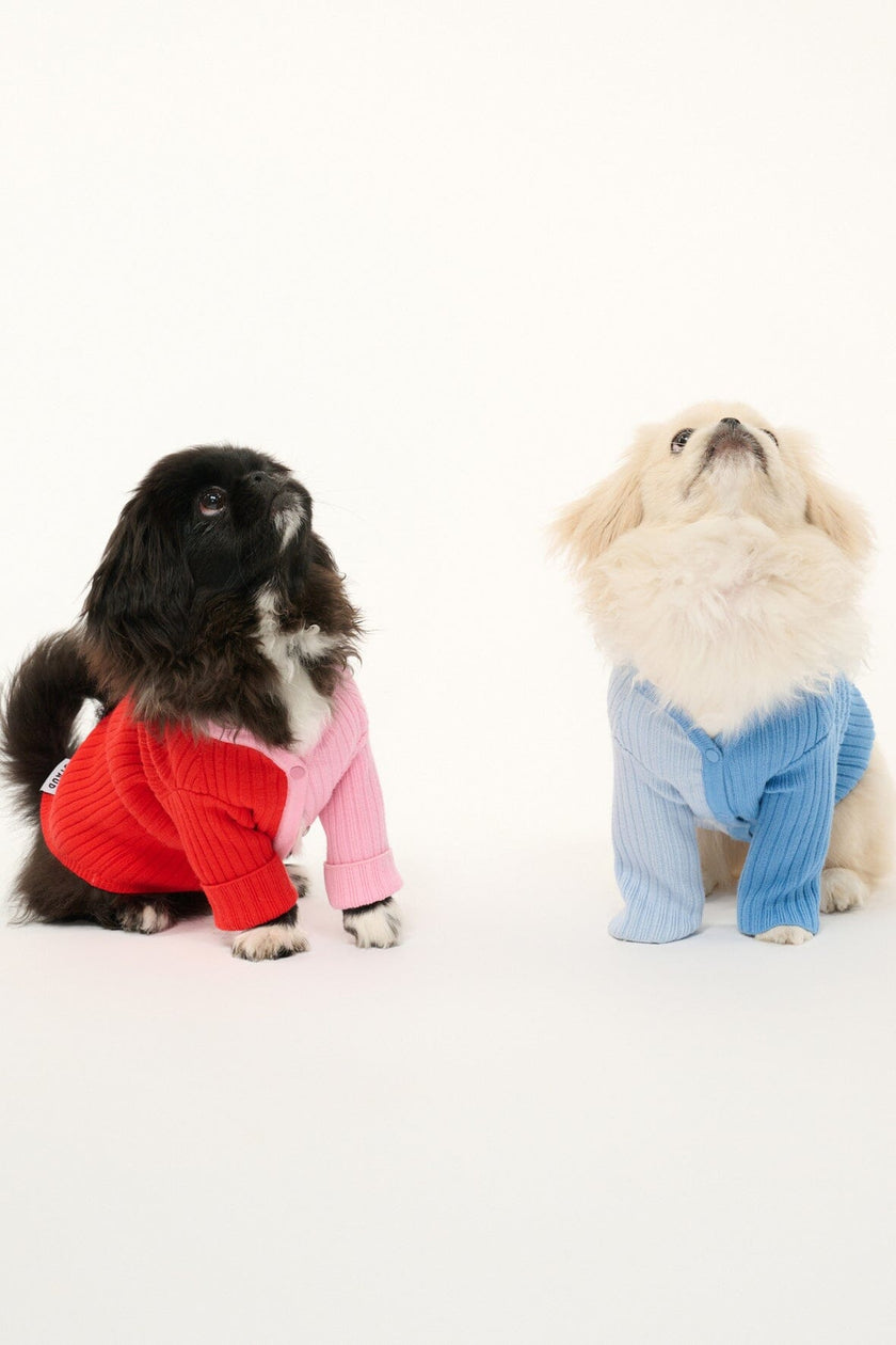 PET SHOKO SWEATER PERIWINKLE MULTI - Image 6