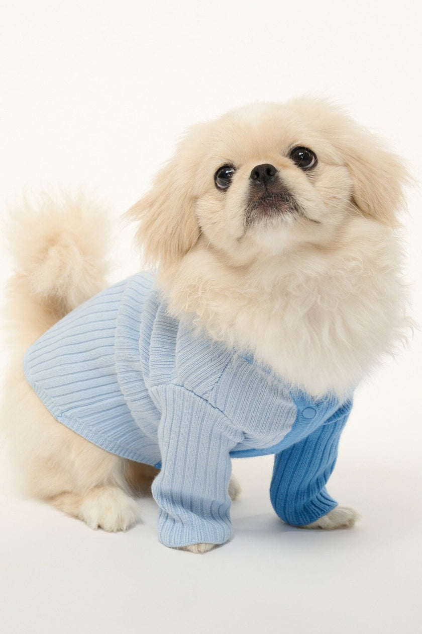 PET SHOKO SWEATER PERIWINKLE MULTI - Image 4