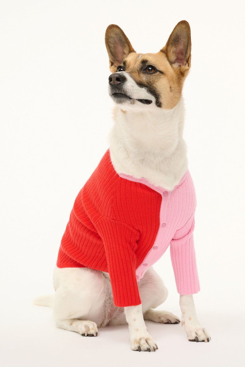 PET SHOKO SWEATER POPPY ROSEBUD - Image 3