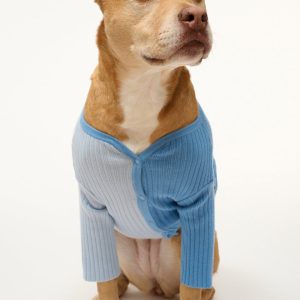 PET SHOKO SWEATER PERIWINKLE MULTI