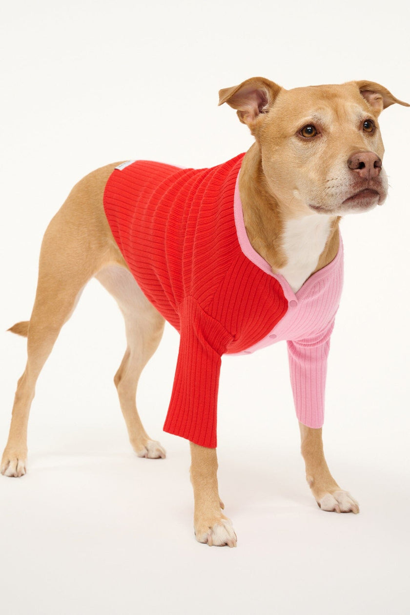PET SHOKO SWEATER POPPY ROSEBUD - Image 4