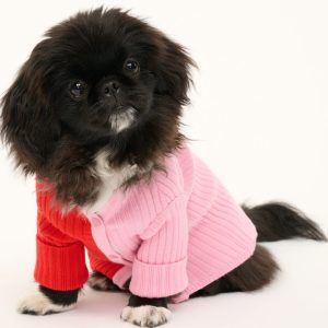 PET SHOKO SWEATER POPPY ROSEBUD