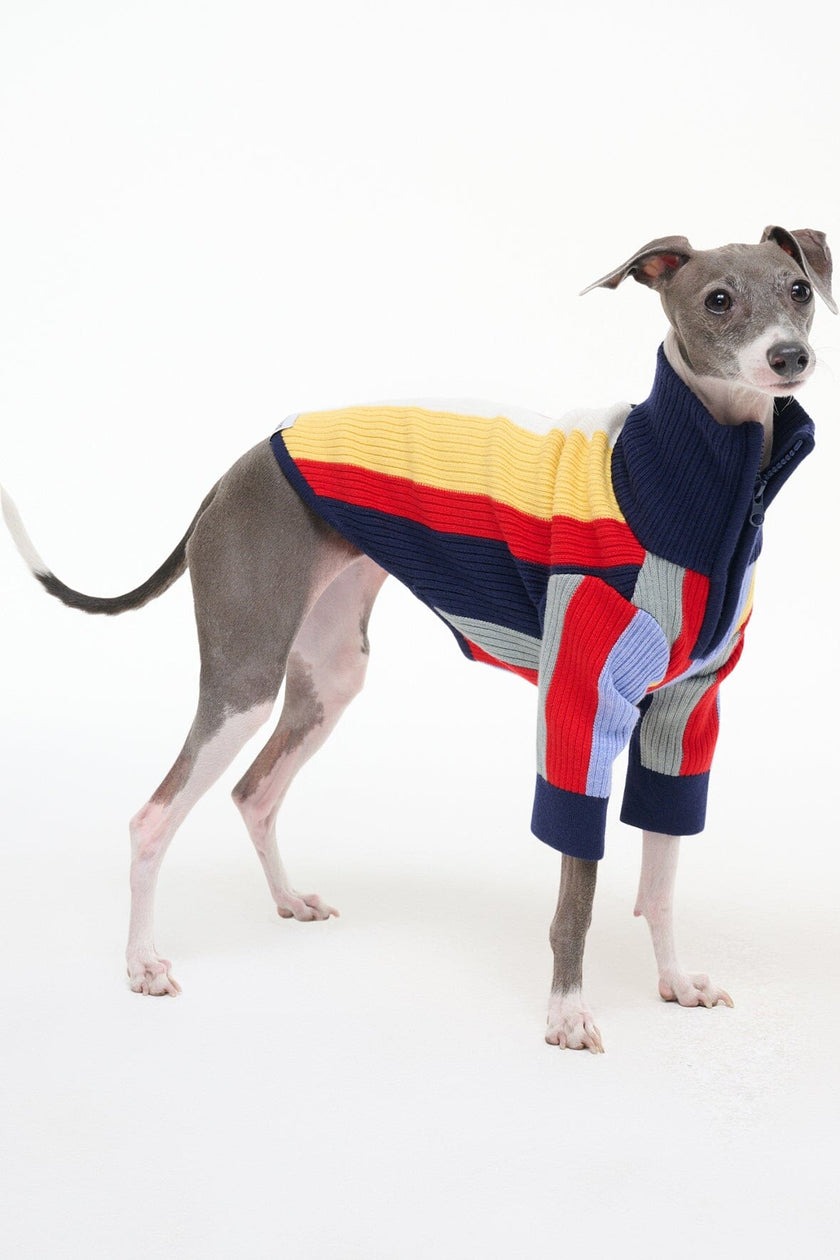PET HAMPTON SWEATER MARKET STRIPE - Image 6