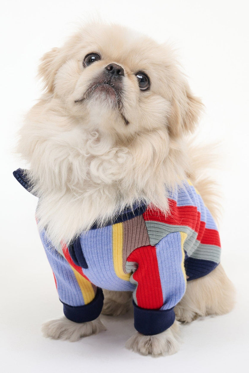 PET HAMPTON SWEATER MARKET STRIPE - Image 3