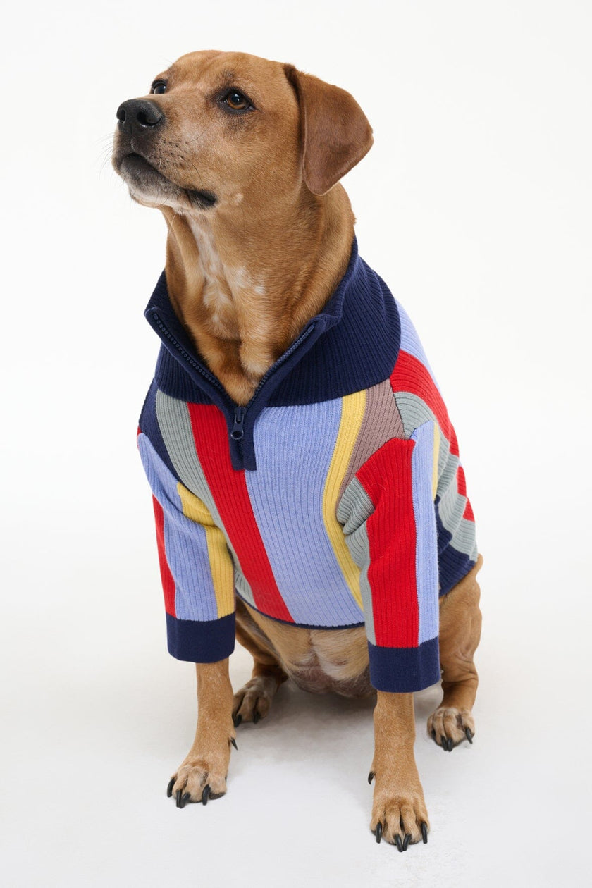 PET HAMPTON SWEATER MARKET STRIPE - Image 5