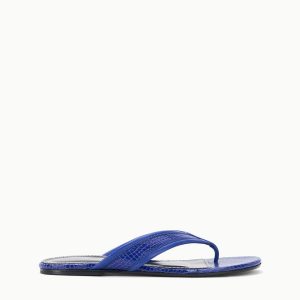 NOVA THONG COBALT