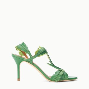 PALM HEEL  LEAF